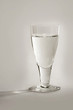 Shot
