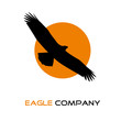 Logo eagle on the sun # Vector