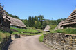 Road in Carpathian village.