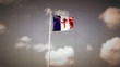 Drapeau de la France libre