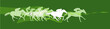 horserace 2