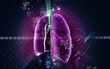 Human lungs
