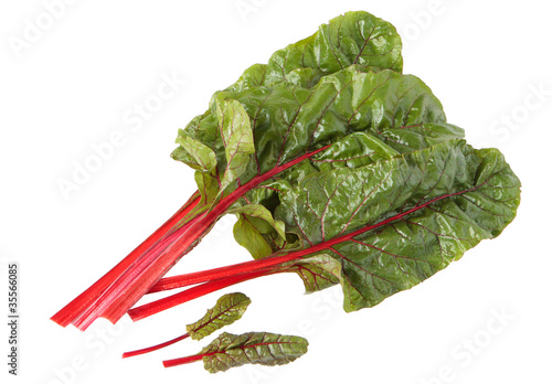 Photo: Red chard leaves in water drops Red chard leaves in water drops