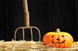 Halloween en la granja.