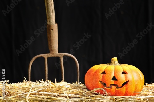 Foto: Halloween en la granja. Halloween en la granja.