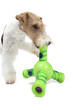 fox terrier et jouet pour chiens fox terrier et jouet pour chiens