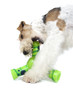 fox terrier s'amusant avec son jouet pour chien fox terrier s'amusant avec son jouet pour chien