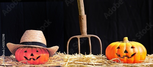 Foto: Calabazas granjeras. Calabazas granjeras.