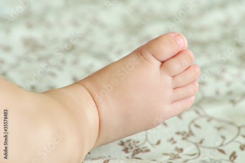 Photo: baby's foot baby's foot