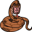 蛇 Snake