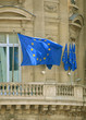European flags in front of beautiful old building