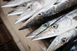 Close up of fish on display in a fish market (Muscat, Oman)