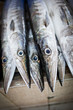 Close up of fish on display in a fish market (Muscat, Oman)