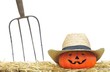 Calabaza en el campo.