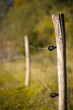Electric fence