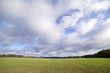 Field.