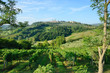 San Gimignano and Tuscan Country