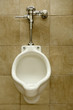 urinal