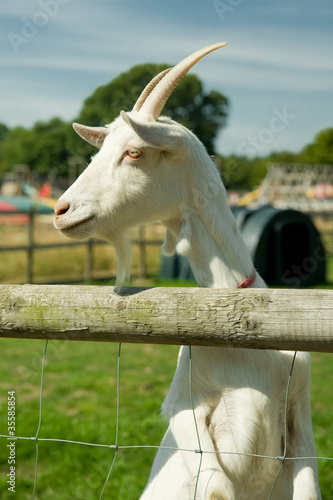 photo par Steve Mann