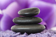 piedras con flor violeta
