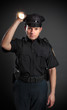 Photo: Policeman or Security Guard shining a torch Policeman or Security Guard shining a torch