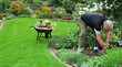 Gartenpflege