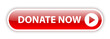 "DONATE NOW" Web Button (charity donation money give contribute)