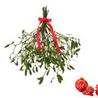 Mistletoe