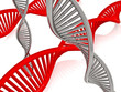 Illustration: DNA Helix DNA Helix