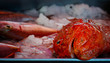 Fish Market