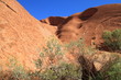 Canyon
