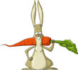 Rabbit