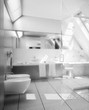 Toilett designed in the mansarde