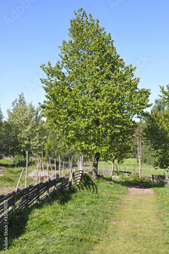Foto: Countryside footpath Countryside footpath