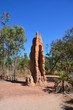 Photo en ligne au meilleur prix termitiere geante en australie