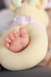 petit bout de pied