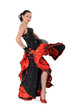 Young elegance flamenco dancer in action