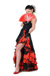 Young girl elegance in the style of flamenco