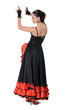 Young girl elegance in the style of flamenco