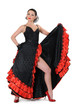 Young girl elegance in the style of flamenco