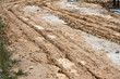 Muddy Track