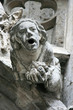 Gothic gargoyle