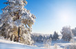 Winter park in snow Winter park in snow