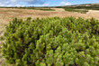 Foto: Landschaft Landschaft