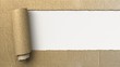 Ripped cardboard, 3d image
