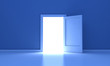 The door The door