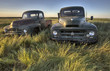 Vintage Farm Trucks