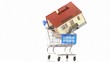 House model inside shopping cart turning around
