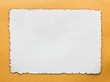 Vintage grunge burnt paper