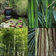 thème des éléments du jardin aquatique zen thème des éléments du jardin aquatique zen